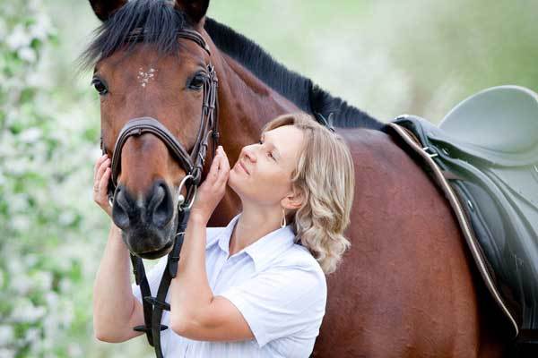 horse-calming-portal